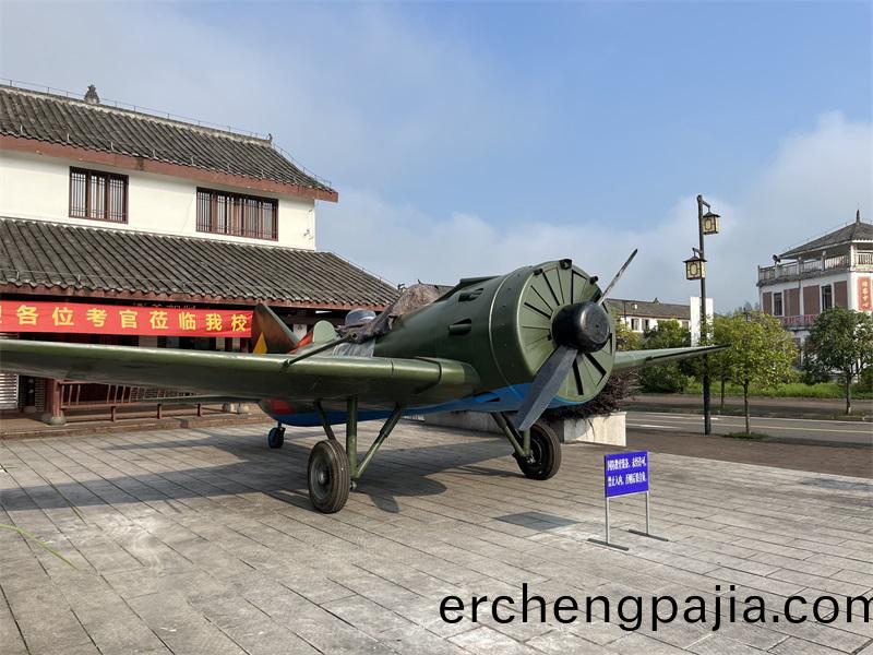 飛(fei)機糢(mo)型大型(xing)