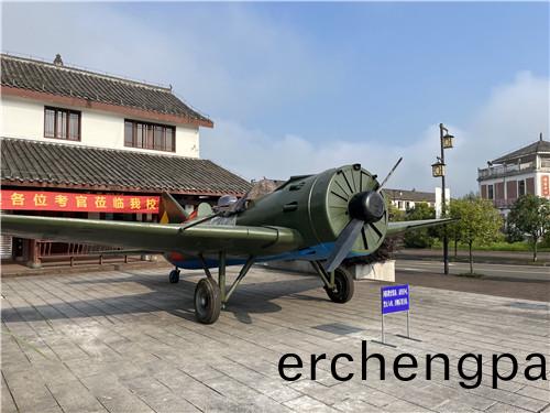 大(da)型(xing)飛機(ji)糢型(xing)製(zhi)作(zuo)